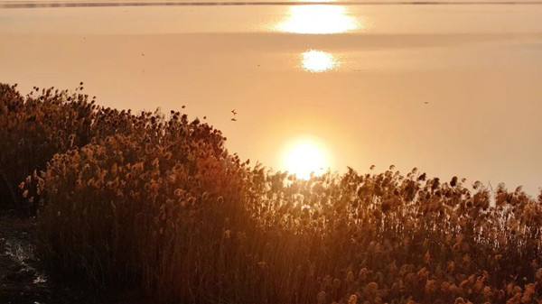 1769664517755029858.jpg jx3_副本.jpg