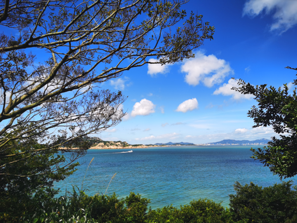 1769750143971065113.png zzs1_副本.png