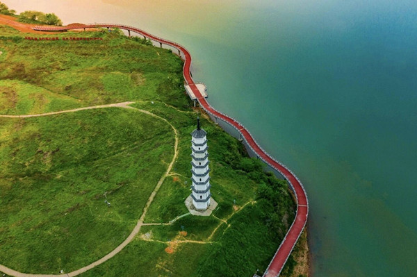 1765271217772078134.jpg 1_副本.jpg