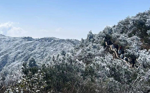 Rime ice spectacles at Quzhou's Liuchunhu Mountain