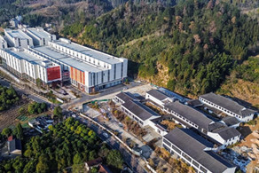 New park in Quzhou's Kaihua drives innovative growth of tea industry