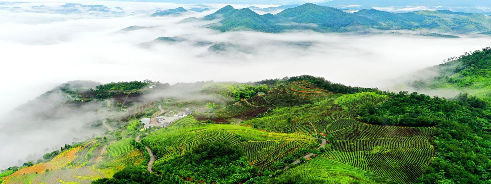 Zhejiang, China | Official site of Zhejiang province, China