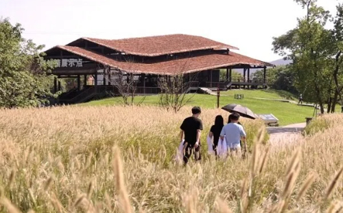 Young conservationist give 5,000-year-old Liangzhu Ruins a 'skincare routine'