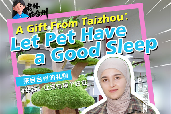 A Gift from Taizhou: Let pets have a good sleep