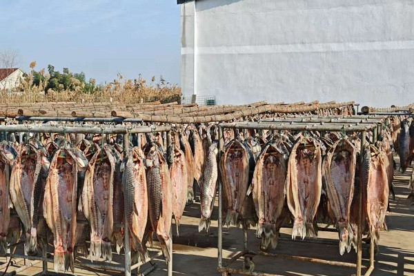 Jiaxing black carp 'swims' to new shores