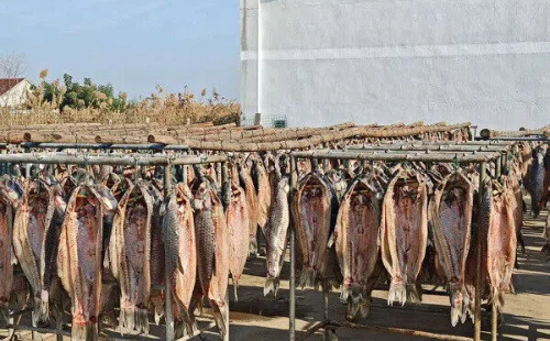 Jiaxing black carp 'swims' to new shores