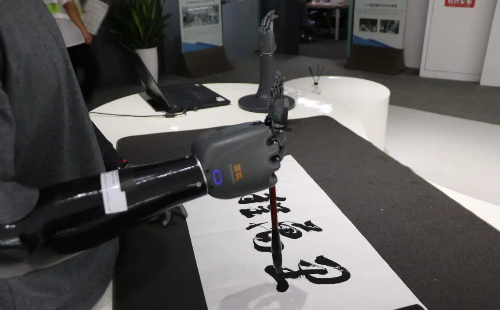Zhejiang completes 2025 rollout of smart bionic prosthetics program