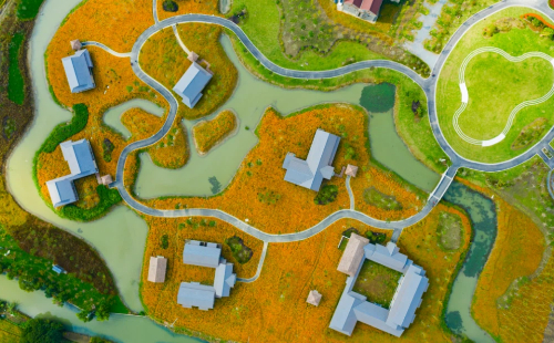 Moth orchids gain popularity in Jiaxing