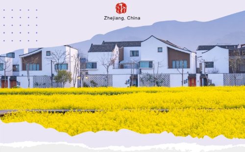 Zhejiang posts steady economic gains in 2025