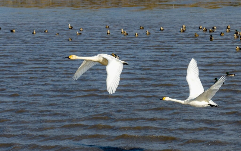 Zhejiang's ecological assets