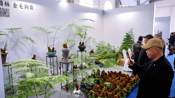 1764572921074056037.jpg 园林.jpg