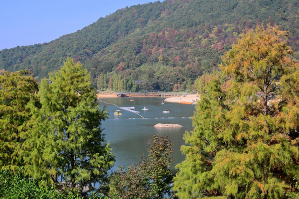 1765352069289012206.jpg 1210 金华山IC_600.jpg