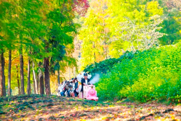 Jinhua Mountain welcomes visitors for autumn outing