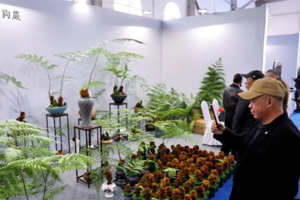 Jinhua Flower and Seedling Expo shows industry growth, collaboration