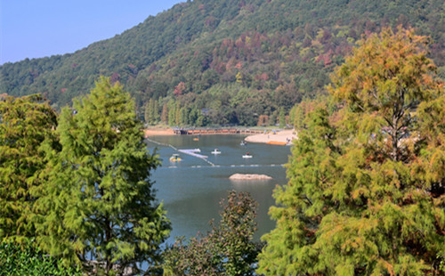 Jinhua Mountain attracts younger visitors