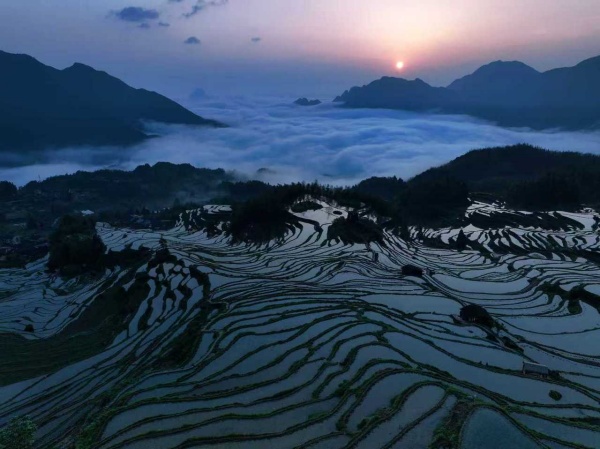 1767945783356029079.jpg 2008814841195442176_1280px.jpg