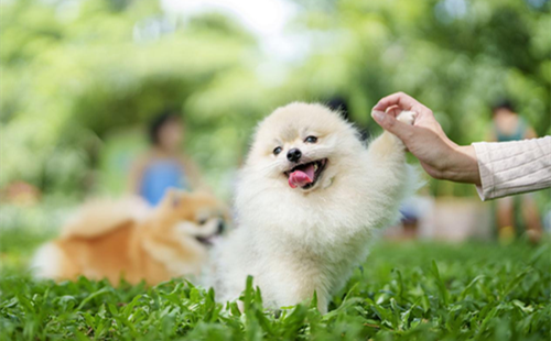 1202 绍兴图片1.png