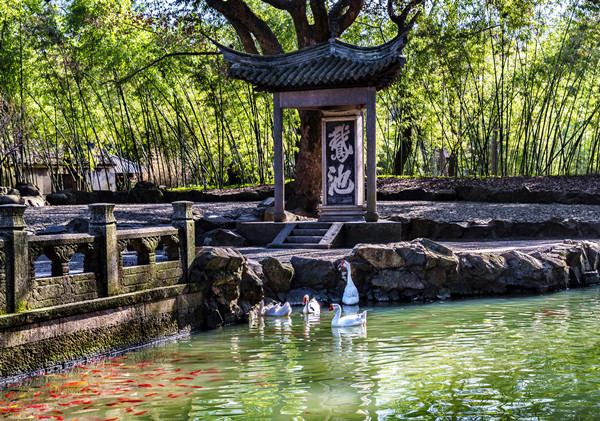 1765527922124038945.jpg 1212 绍兴Japan 图3 600.jpg