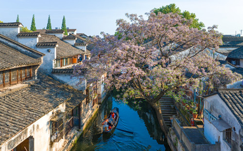 Shaoxing attracts Japanese tourists with lifestyle aesthetics