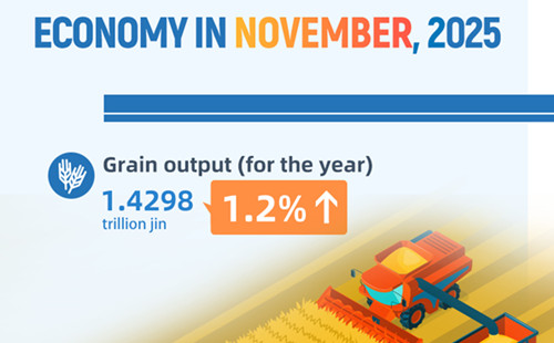 A look at China's economy in November, 2025