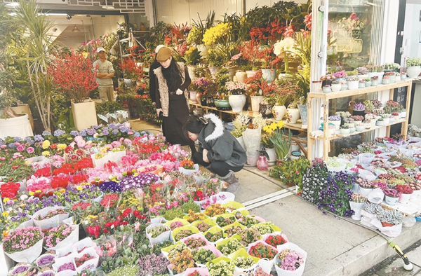 Spring Festival flower market sees strong sales in Shaoxing