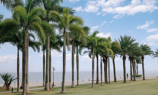 1765352109930050362.jpg 4.jpg