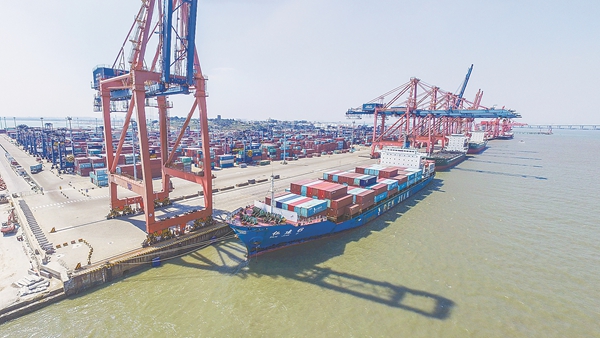 1765527008584092117.jpg c366dfc6-022f-4b5b-a6b3-54c6a5b508bc.jpg