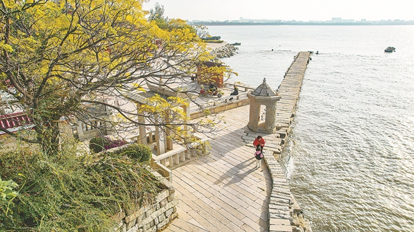 1765527029606013588.jpg d762743c-aa7c-4085-8f51-75c53dc892fe.jpg