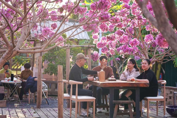 1767856135776087663.jpg 3.jpg