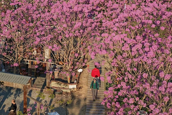 1767856152436072553.jpg 2.jpg