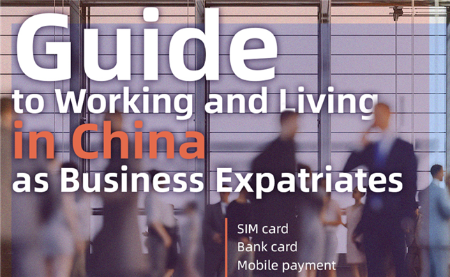 A guide to working and living in China as business expatriates