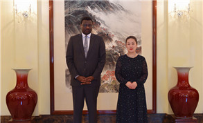 Liu Chenzi meets with Zambian consul general in Guangzhou