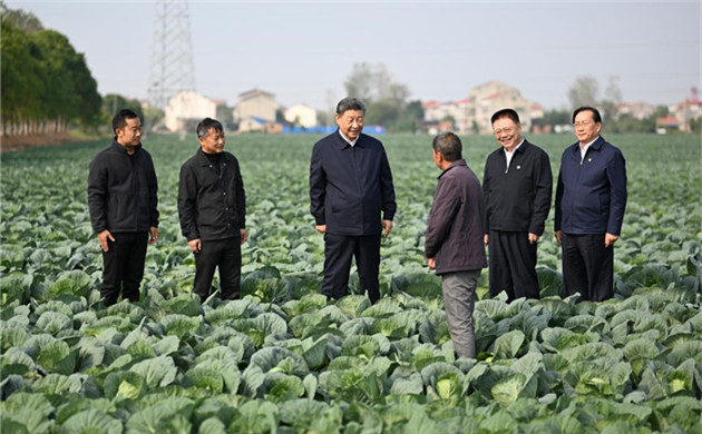 Xi inspects central China's Hubei Province