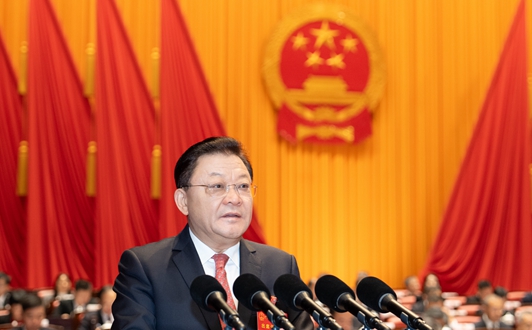 Wang Weizhong delivers the government work report