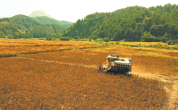 University contributing to food security