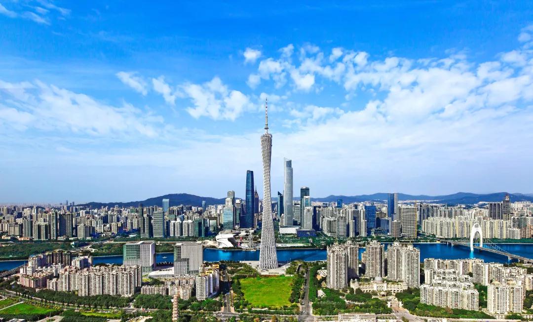 1553656730595012872.jpg 1553656730595012872.jpg