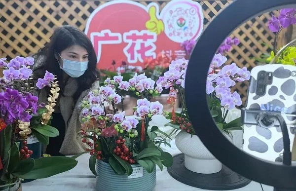 Flowers exhibited at Guangzhou Flower Research Center..jpg