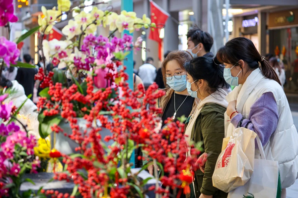 People come to enjoy the flowers at the Spring Festival flower fair.png