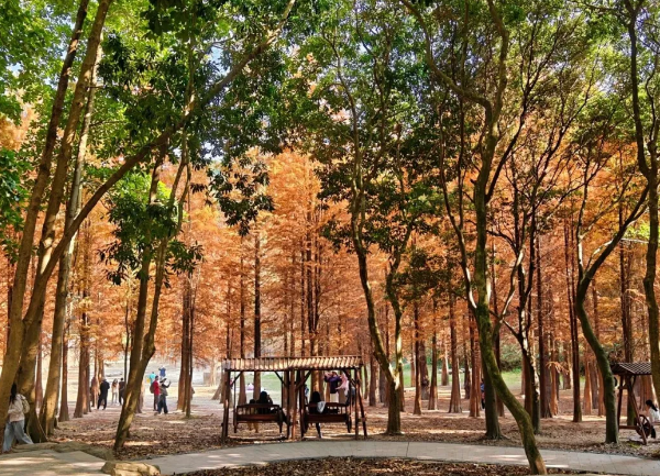 Baiyun tourism sector booms during New Year holiday