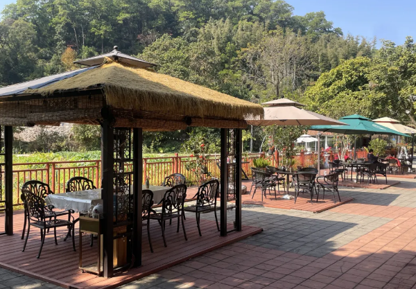 Ecological farm at Maofeng Mountain opens to public