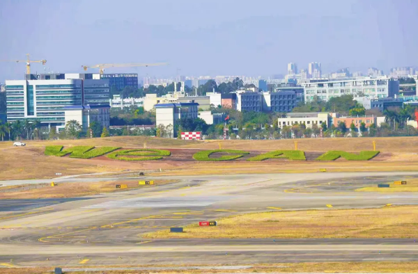 1769052438801000495.png WXWorkLocalGovPro_17690525258468.png