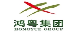Hongyue Group