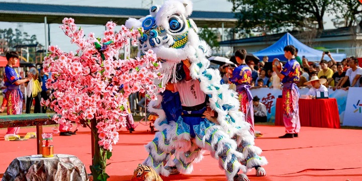 Lion dance championship in Baiyun celebrates tradition, skill