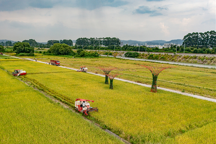Baiyun makes progress in building agricultural demonstration zone