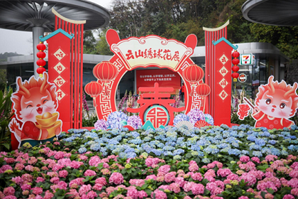 Baiyun records Spring Festival tourism surge