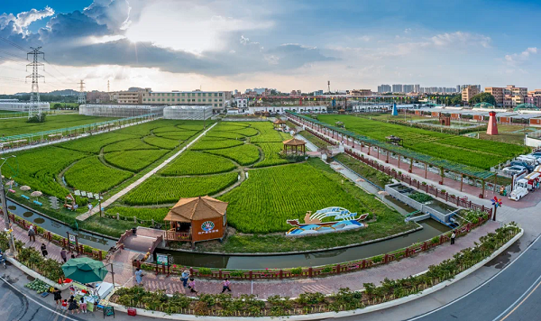 Innovative eco-friendly farming promoted in Guangzhou