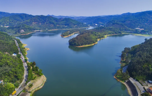 Helong Reservoir thrives as eco-heaven in Guangdong