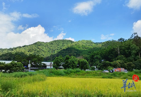 Baiyun hosted 1st harvest carnival to boost rural tourism