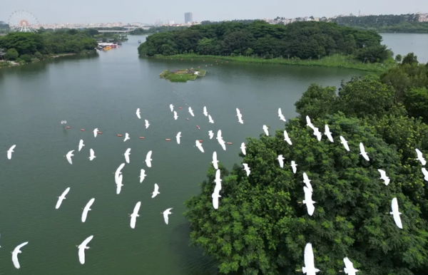 Baiyun unveils new ecological corridor plan