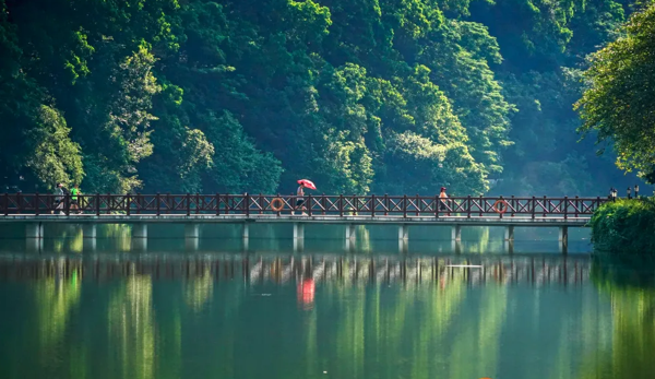 Experience enchanting spots of 'Jelly Sea' in Baiyun